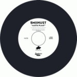 5 miinust-Aasta plaat 2023 VINYL